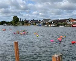 Wild swimming event