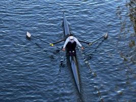 Silver Sculls race